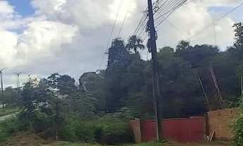 Imagem: Vendo terreno na br 135 medindo 2500m2 dentro