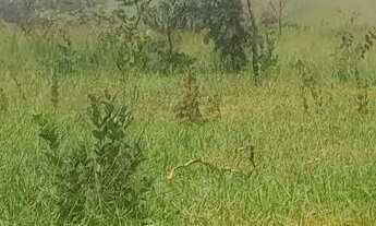 Imagem 4: Lotes 100 Terreno / lote com venda por R$55.000