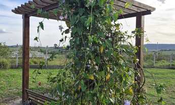 Imagem 6: Terreno de Chácara Canal Torto