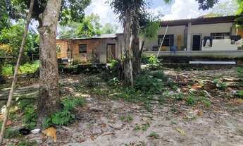 Imagem 5: Vende-se sitio (TARUMÃ AÇU) DETALHES Na descrição