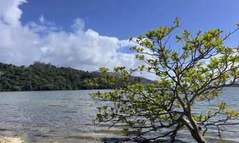 Imagem 7: Casa - Florianópolis SC