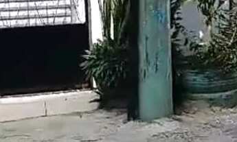 Imagem 4: Alugo Kitnet Casa com 1 dormitório