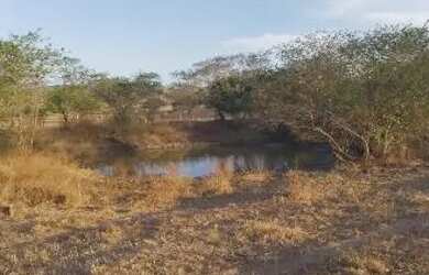 Imagem 4: 10 tarefas de terra