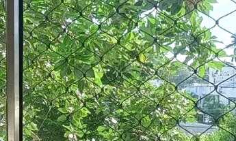 Imagem 6: Apartamento 2 Quartos em Santa Teresa