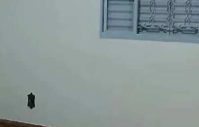 Imagem 5: Belo Horizonte - Casa Padrão - Europa