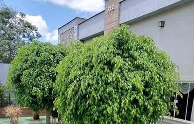 Imagem 2: Uvaranas - Venda