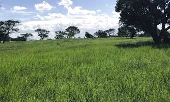 Imagem 4: Terreno a venda Terreno / lote com venda por R$1.000.000