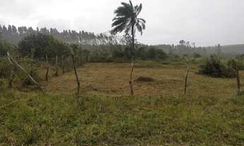 Imagem: Terreno 20x30 localizado na Capoeira Alagoinhas