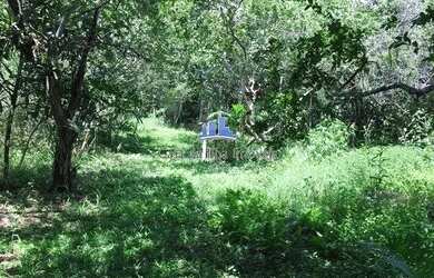 Imagem 5: Terreno no Ratones com viabilidade Condomínio