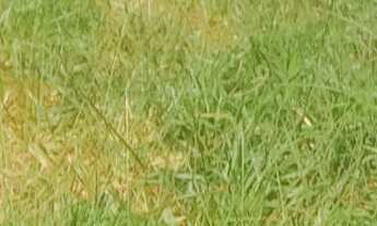 Imagem 3: Lotes 100 Terreno / lote com venda por R$55.000