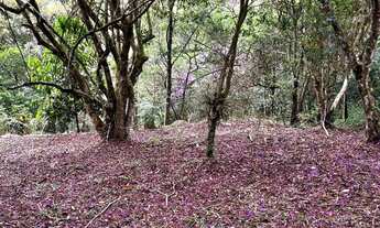 Imagem 2: Terreno em Monteiro Lobato Alpes do Buquira