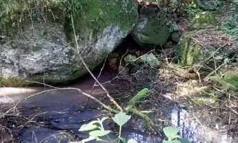 Imagem 7: Área de terra bairro Linha Olinda, Nova Petropólis.RS REF: 246