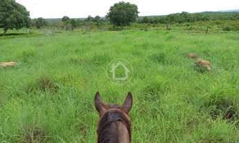 Imagem: PROPRIEDADE PRODUZINDO - 70 KM DE CUIABÁ
