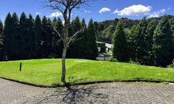 Imagem 4: Terreno - Bairro Mato Queimado