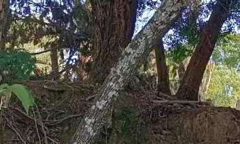 Imagem 3: TERRENO - RETIRO DAS FONTES - SP