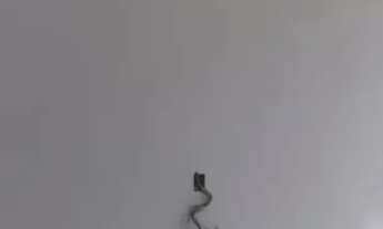 Imagem 7: Chácara a venda em Feliz