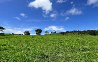 Imagem 2: Chácara 4 alq. em Petrolina