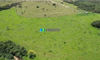 Imagem: FAZENDA À VENDA - 273 HECTARES - TRÊS