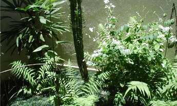 Imagem 3: Casa - Jardim Maria Ilydia - Valinhos