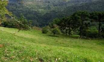 Imagem 4: Sítio em Morro Calçado - Morro Calçado - Canela/RS