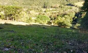 Imagem 3: Sítio em Morro Calçado - Morro Calçado - Canela/RS