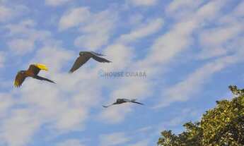 Imagem: IMPERDIVELArea em Ascenção Turística