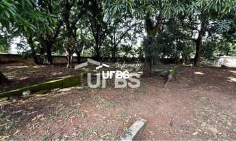 Imagem 5: 0 - Terreno Residencial