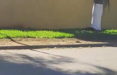 Imagem 2: Área para venda possui 9.500 metros quadrados em Parque Amazônia - Goiânia - GO