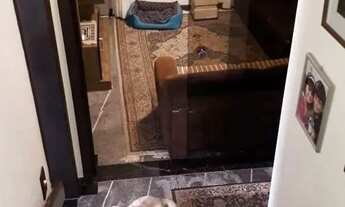 Imagem 7: Casa à venda e para locação no Centro de Eldorado do Sul