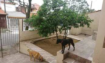 Imagem 4: Casa em Rua Luiz Calvo - Jardim Santa Inês II - São José dos Campos/SP