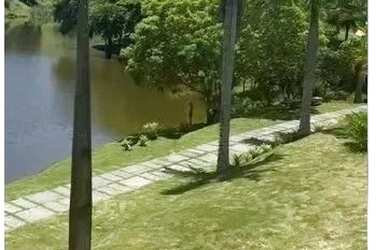 Imagem 6: Venda-se está Belíssima propriedade de 8 alqueires no Município de Cachoeiro de Itapemirim