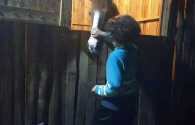 Imagem 2: CAUE IMÓVEIS VENDE Excelente Propriedade em Viamão-RS - Refúgio de Luxo!