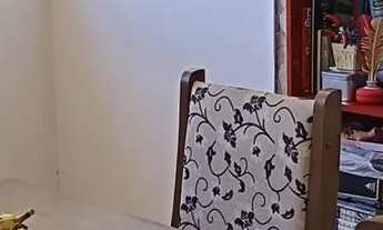 Imagem 6: EXCELENTE APARTAMENTO NO BAIRRO PALMEIRAS