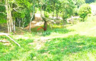 Imagem 7: Chácara em Campo Largo - Pr - Retiro - Retiro Grande/PR