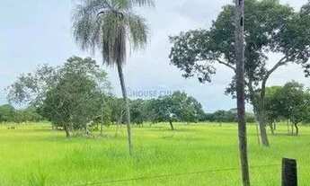 Imagem: LINDO SITIO A VENDA 50 HEC BEIRA RIO CUIABA