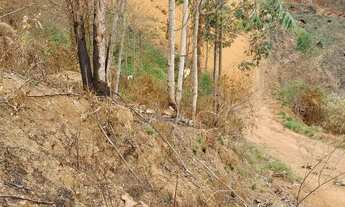 Imagem 3: Terreno Boa Vista 1.200M