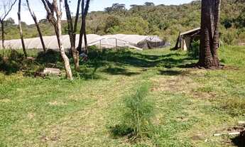 Imagem 5: Vende-se chácara em tijucas do sul