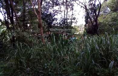 Imagem 7: TERRENO - Terreno Comercial