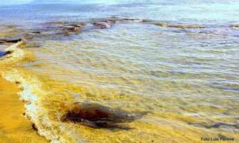 Imagem 4: Lotes na ilha de Catu a partir de 8.000,00 loteamento Águas de Catu