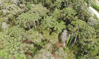 Imagem 4: Terreno à Venda no Capivari - Campos do Jordão/SP