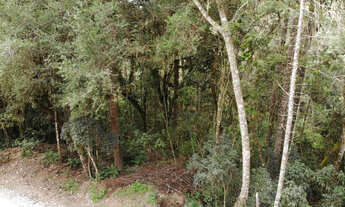 Imagem 7: Terreno à Venda no Capivari - Campos do Jordão/SP