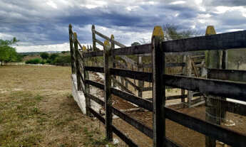 Imagem 7: Sitio no Trem da Alegria com casa com 04 quartos com suíte