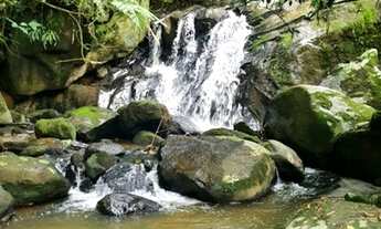 Imagem 2: Oportunidade!!! Linda propriedade a venda com 250 ha no município de Tijucas SC!!!