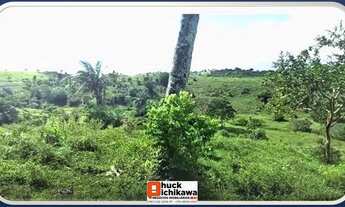 Imagem 3: SÍTIO de 55 TAREFAS - ESTÂNCIA