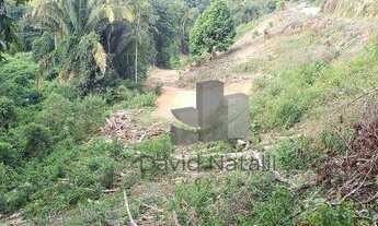 Imagem 5: Área Em Boa Esperança - Marechal Floriano