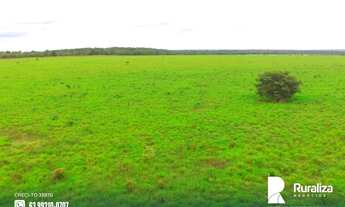 Imagem 5: Fazenda com dupla aptidão e 730,02 hectares na região de Guaraí - TO