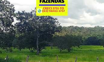 Imagem 4: Fazenda região de Cristalândia 140 alqueires