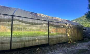 Imagem 5: FLORIANóPOLIS - Terreno Padrão - São João do Rio Vermelho