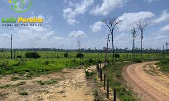 Imagem 5: FAZENDA À VENDA EM PACAJÁ - PA - 968 HECTARES (PECUÁRIA