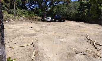 Imagem 4: Área com 6.000 m2 no Roza elze